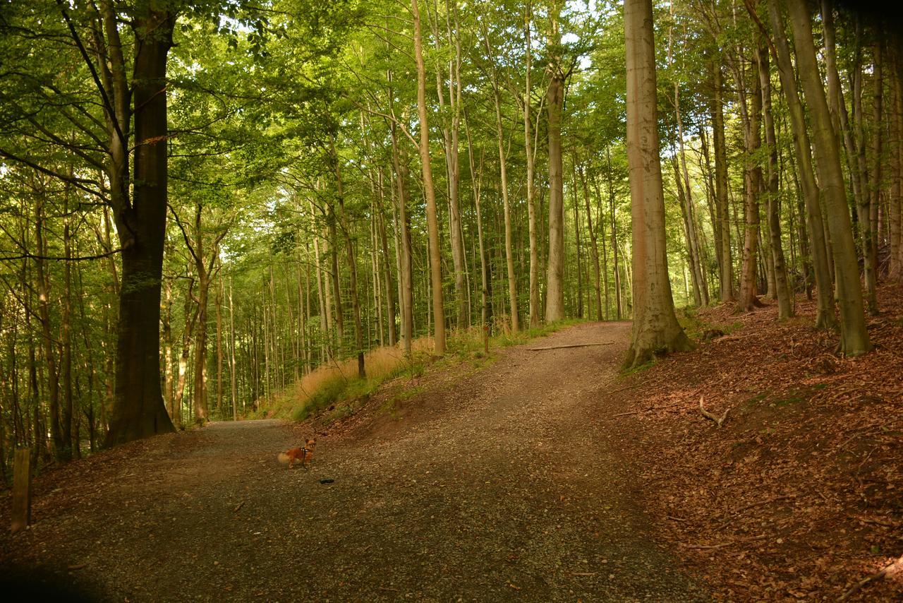 Vejle City Camping Exteriér fotografie